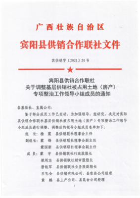 宾阳县供销合作联社 关于调整基层供销社被占用土地(房产) 专项整治工作领导小组成员的通知