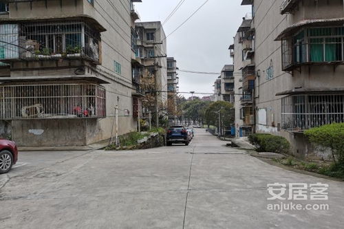 3537厂生活小区优点 不足,3537厂生活小区怎么样,3537厂生活小区周边房产中介经纪人评价
