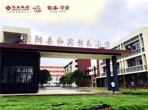 彰泰心系宾阳教育,书写辉 彰 和宾彰泰小学盛大交付