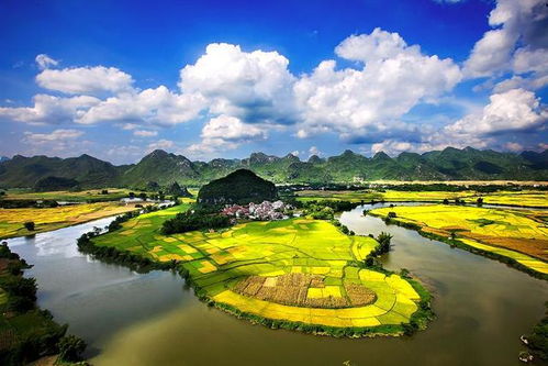 上林 宾阳 横县人速看 三地将建高速路,投资138亿元,已招标