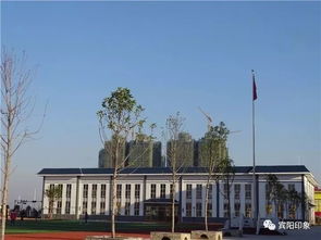 宾阳县凤凰小学招生启动，优质教育资源助力宾阳房产价值提升